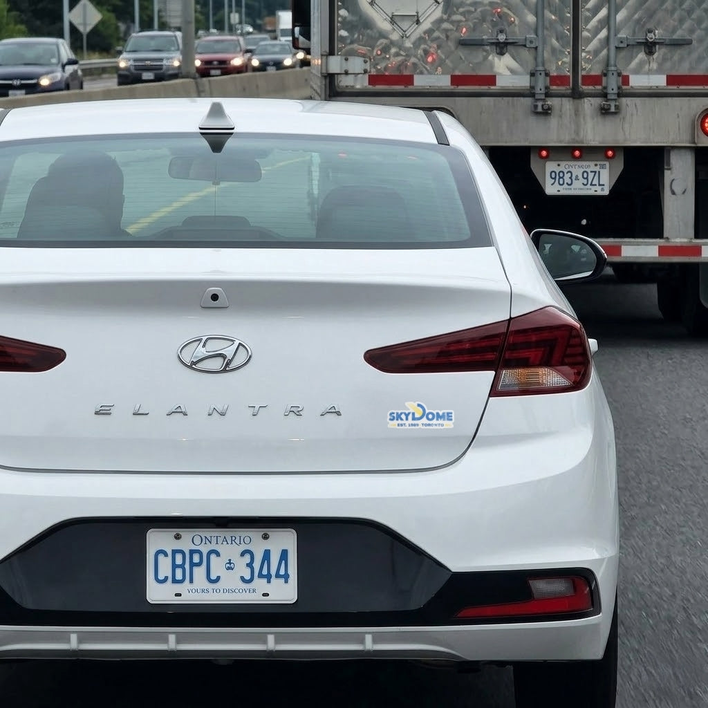 SkyDome | Vinyl Sticker