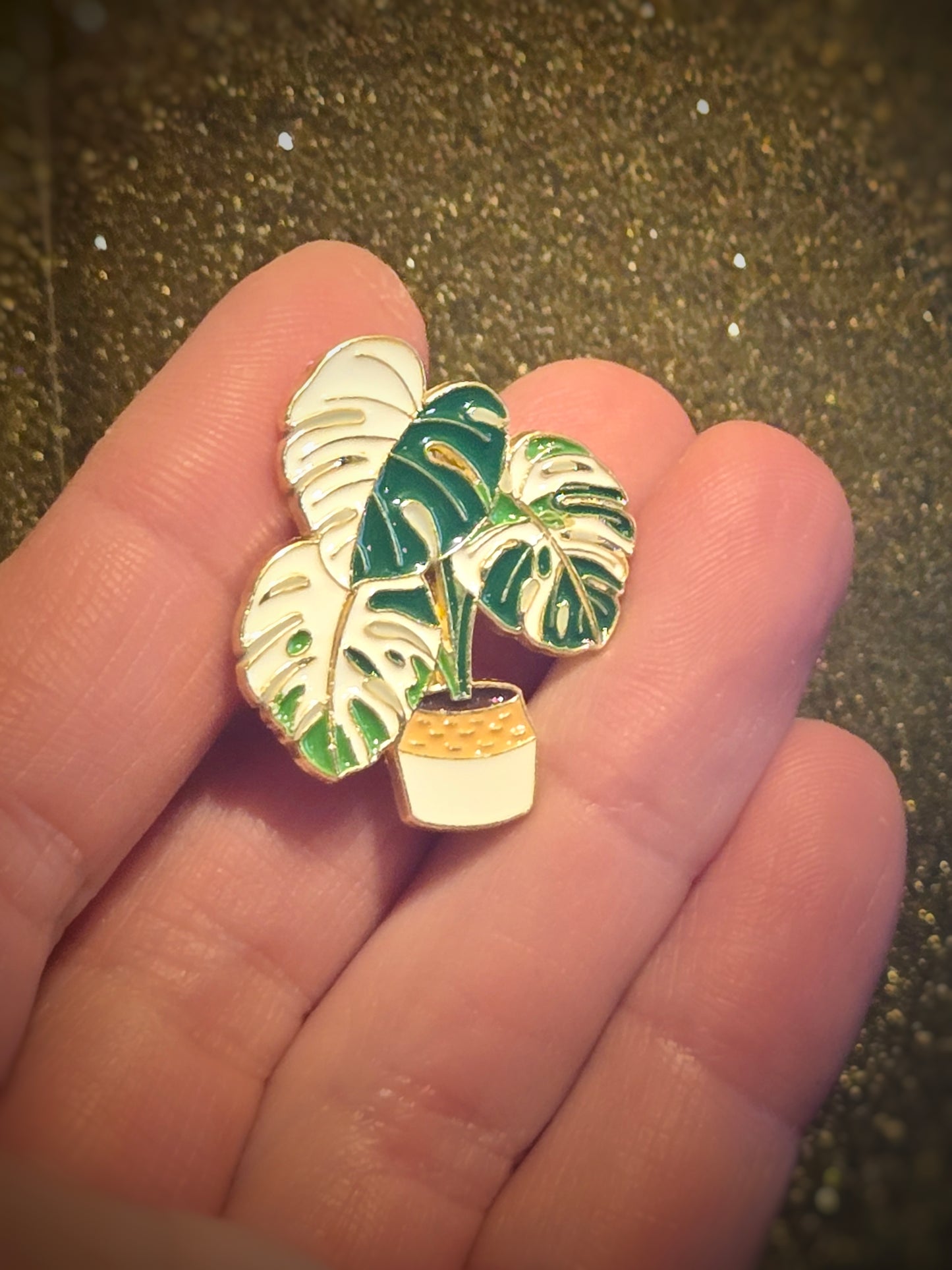 Variegated Monstera Plant | Collectible Pin