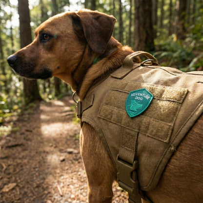 Adventure Dog | Embroidered Patch