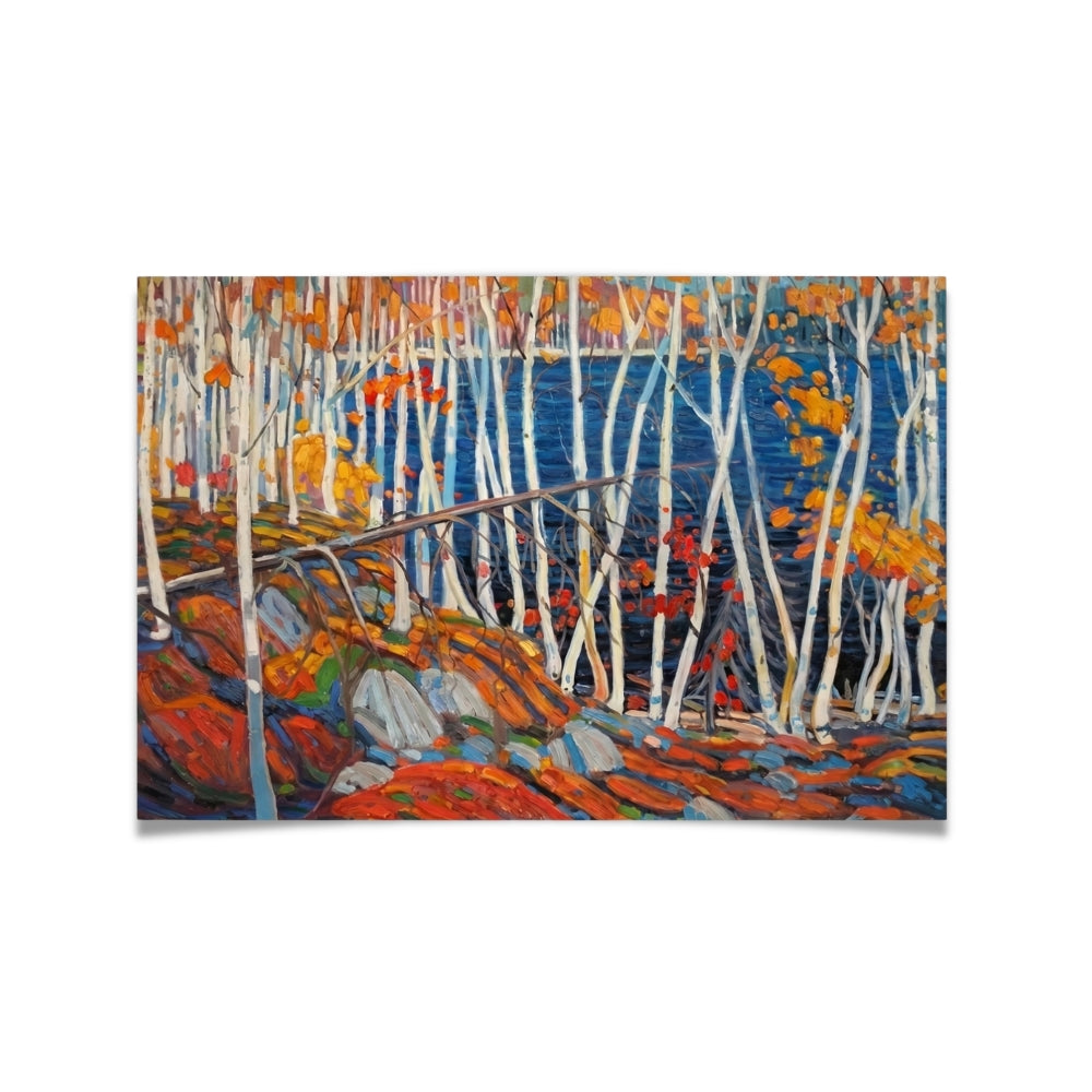 Algonquin Birches | Canvas Art Print