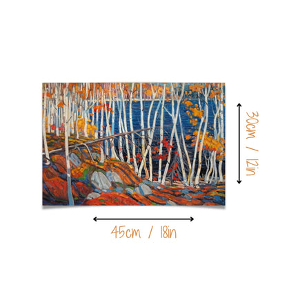 Algonquin Birches | Canvas Art Print