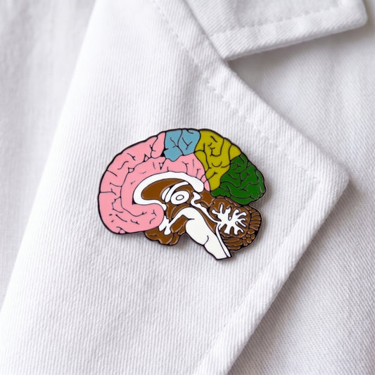 Anatomical Brain Lobes | Collectible Pin
