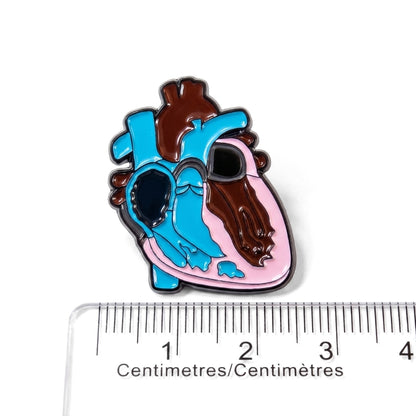 Anatomical Trans Heart [Pride] | Collectible Pin