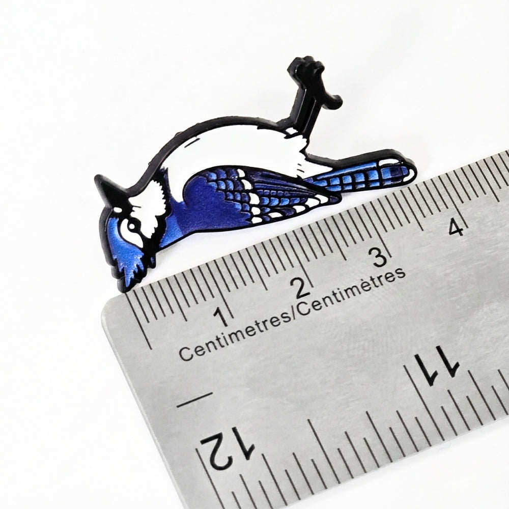 Blue Jay | Collectible Pin