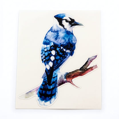 Blue Jay | Vinyl Sticker