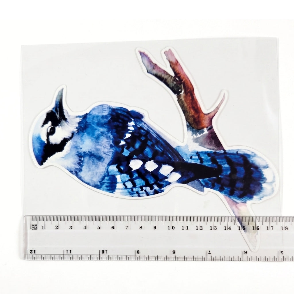 Blue Jay | Vinyl Sticker
