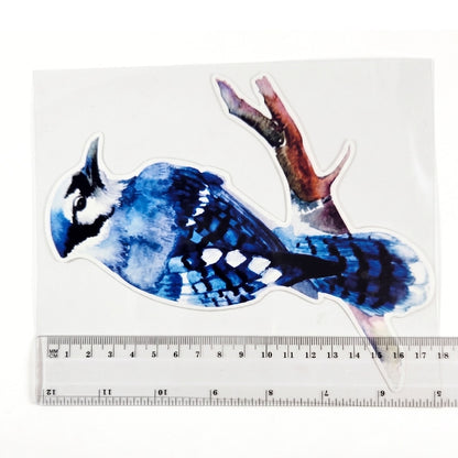 Blue Jay | Vinyl Sticker