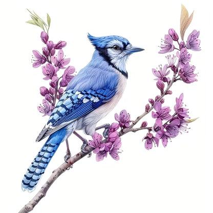 Blue Jay [Style 1] | Vinyl Sticker
