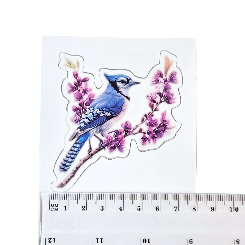 Blue Jay [Style 1] | Vinyl Sticker