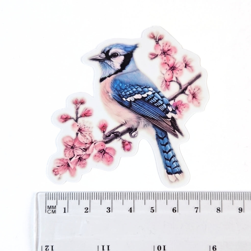 Blue Jay [Style 2] | Vinyl Sticker