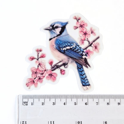 Blue Jay [Style 2] | Vinyl Sticker