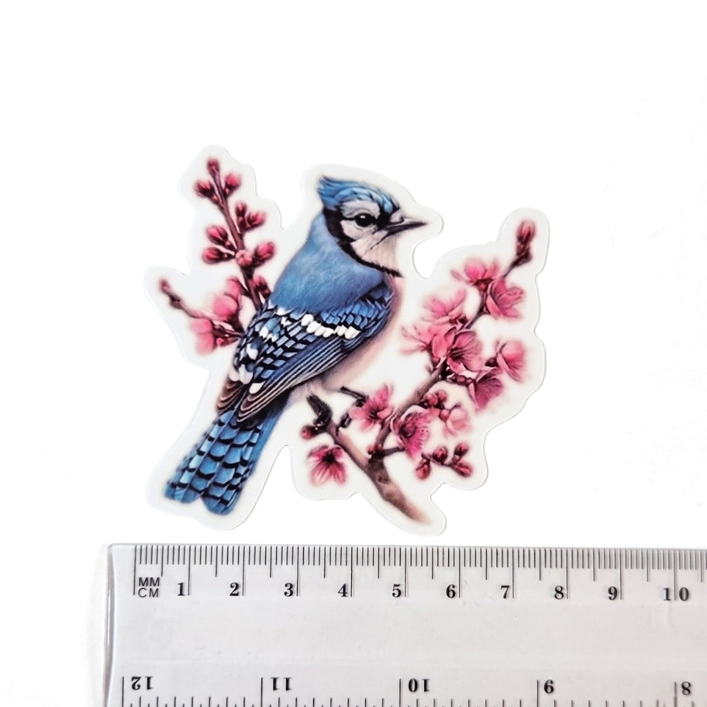 Blue Jay [Style 4] | Vinyl Sticker