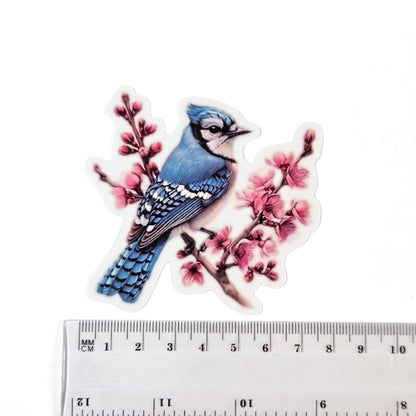 Blue Jay [Style 4] | Vinyl Sticker