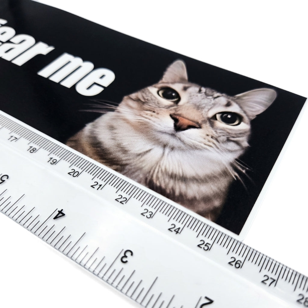Curbs Fear Me | Vinyl Sticker