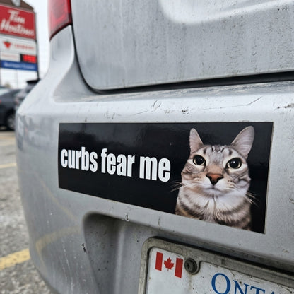 Curbs Fear Me | Vinyl Sticker