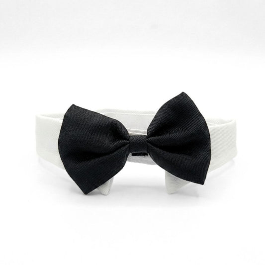 Dapper Black Tie Pet Collar