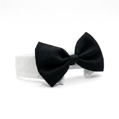 Dapper Black Tie Pet Collar