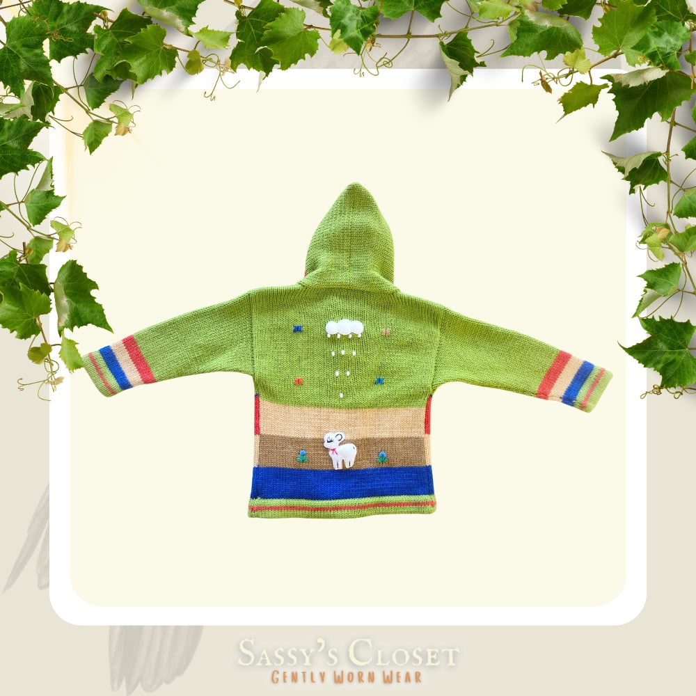 Kids Hand-Knit Alpaca Wool Sweater (Green)
