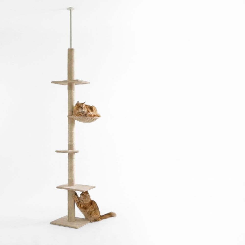 Arbre à chat minimaliste sans perçage du sol au plafond | PawHut