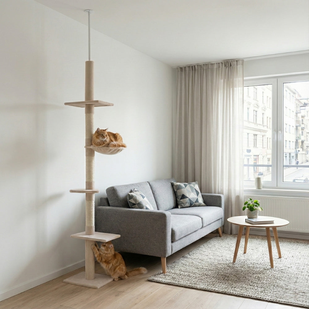 Arbre à chat minimaliste sans perçage du sol au plafond | PawHut