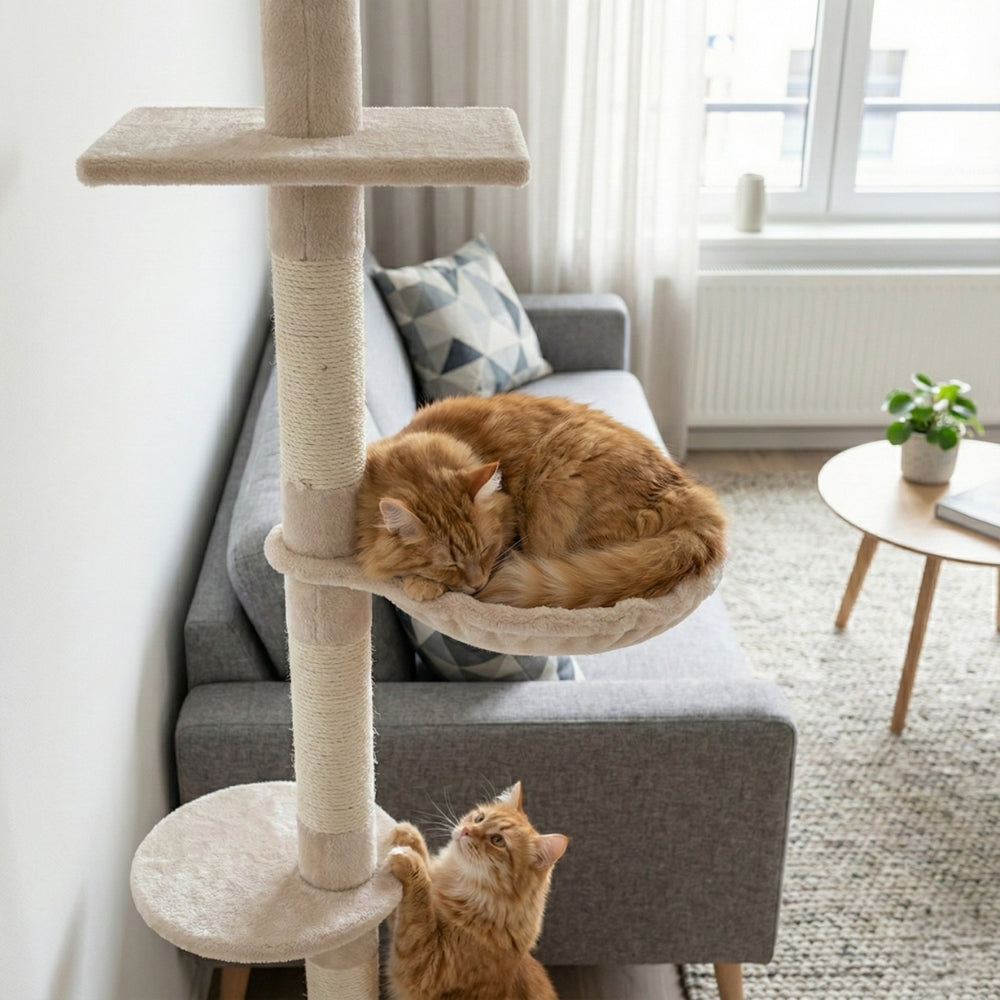 Arbre à chat minimaliste sans perçage du sol au plafond | PawHut