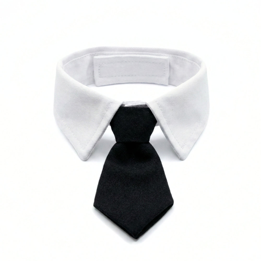 Black Suit Tie | Pet Collar