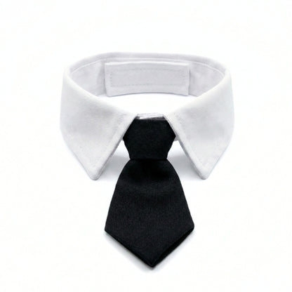 Black Suit Tie | Pet Collar