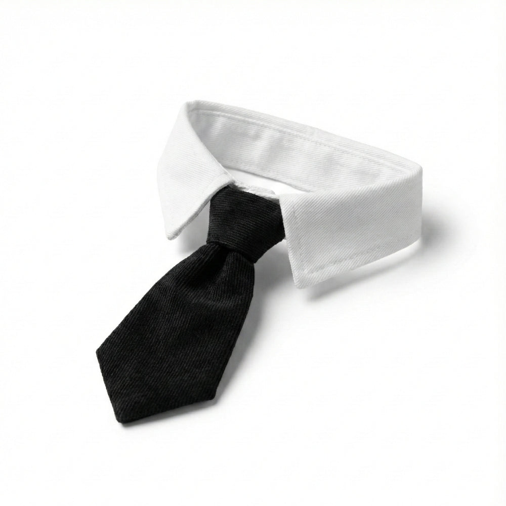 Black Suit Tie | Pet Collar