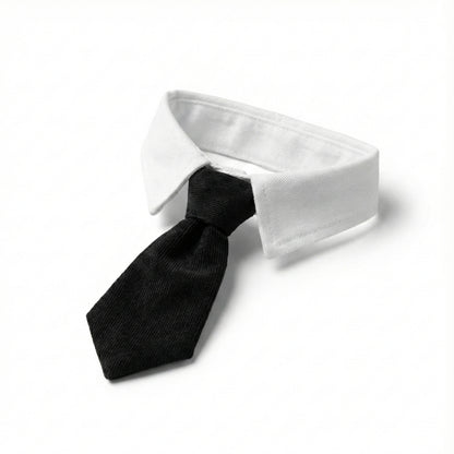 Black Suit Tie | Pet Collar