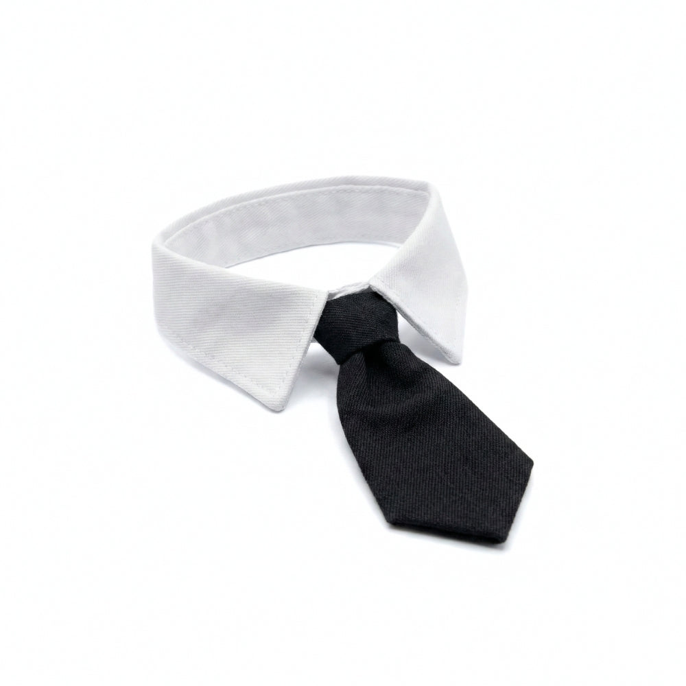 Black Suit Tie | Pet Collar