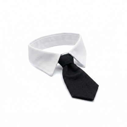 Black Suit Tie | Pet Collar