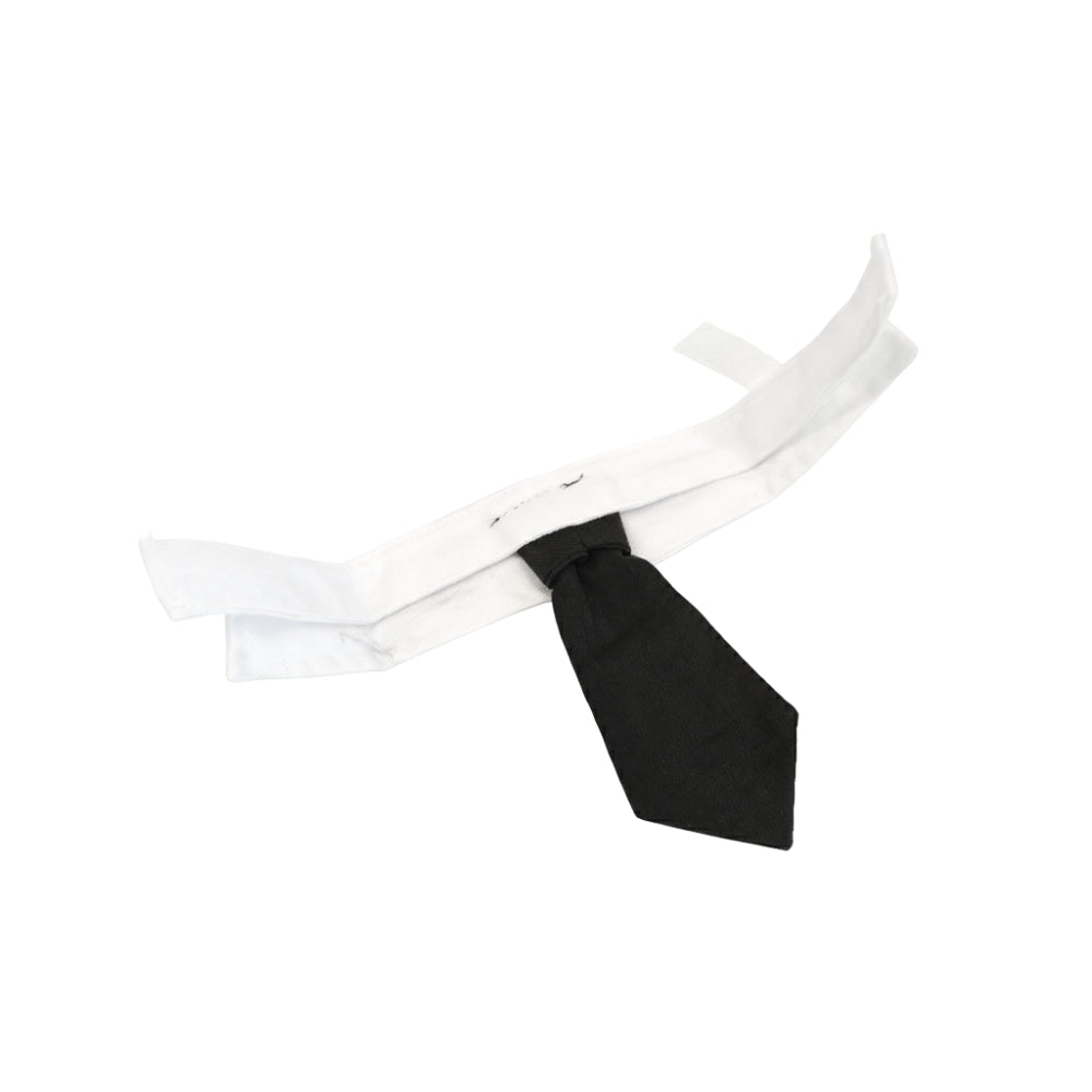 Black Suit Tie | Pet Collar