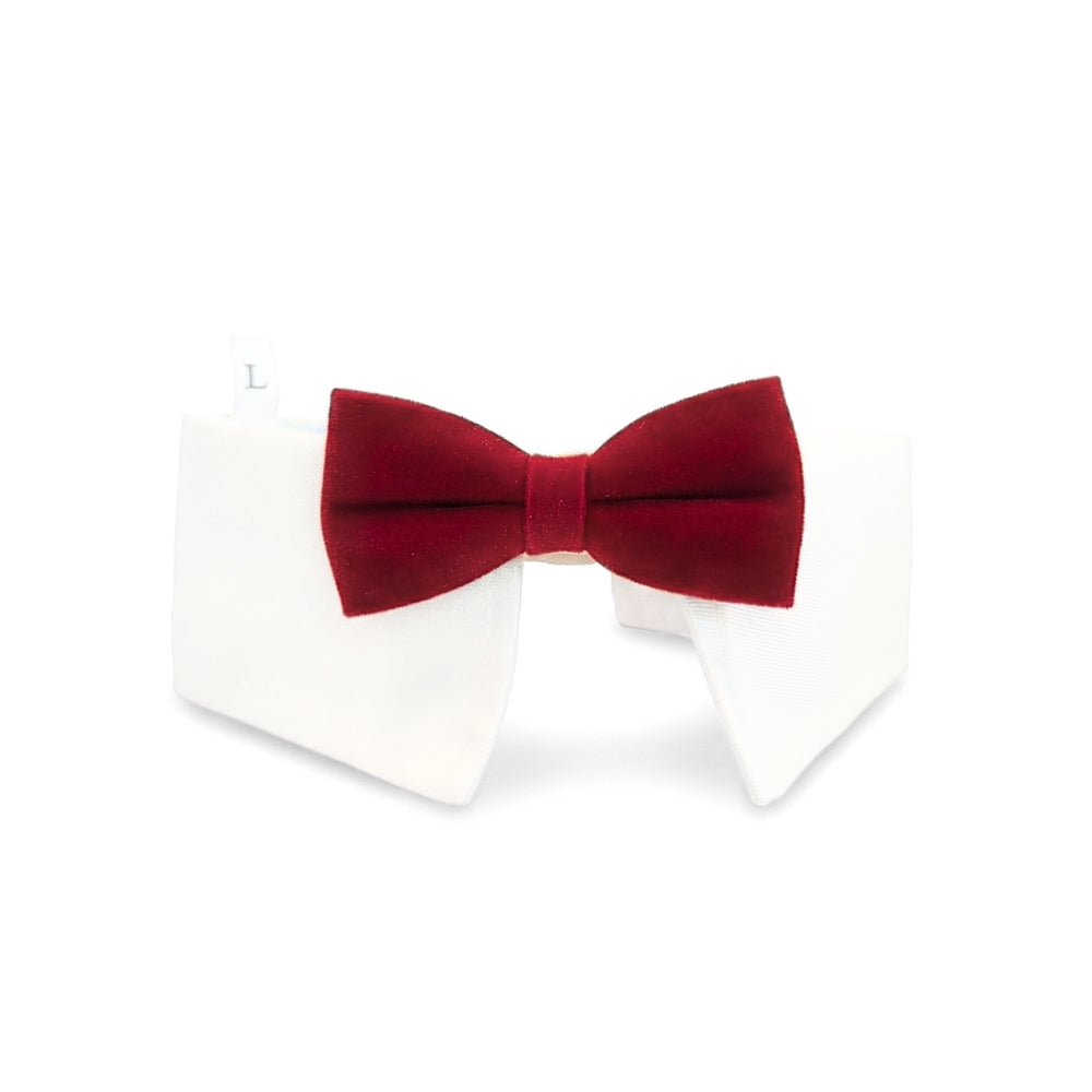 Red Velvet Bowtie | Pet Collar