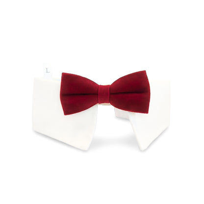 Red Velvet Bowtie | Pet Collar