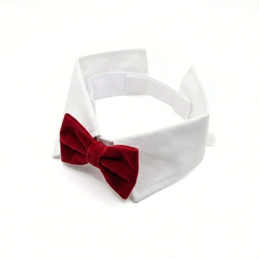 Red Velvet Bowtie | Pet Collar