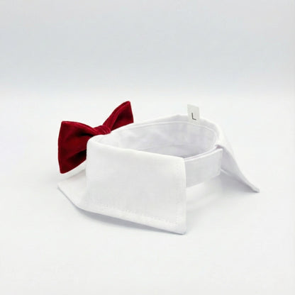 Red Velvet Bowtie | Pet Collar