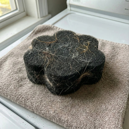 Récupérateur de poils pour sèche-cheveux pour animaux