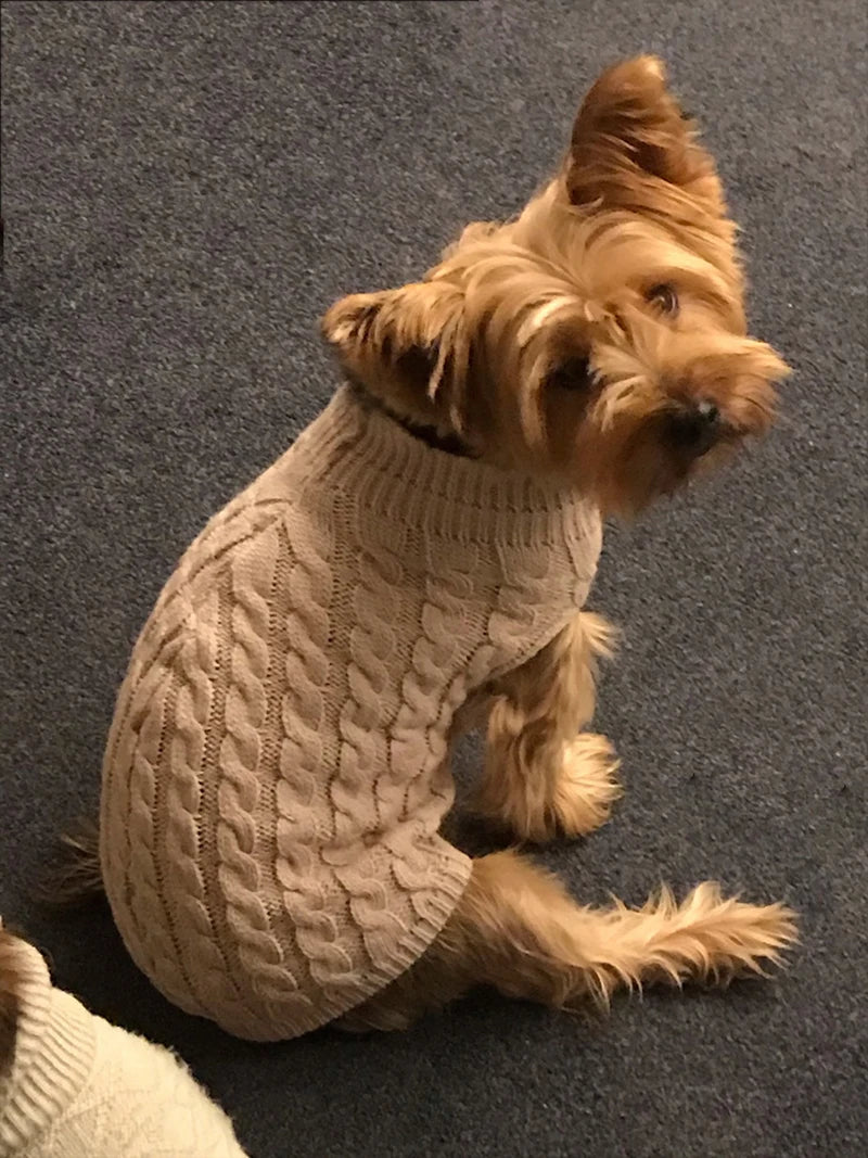 Knit Sweater for Small Pets