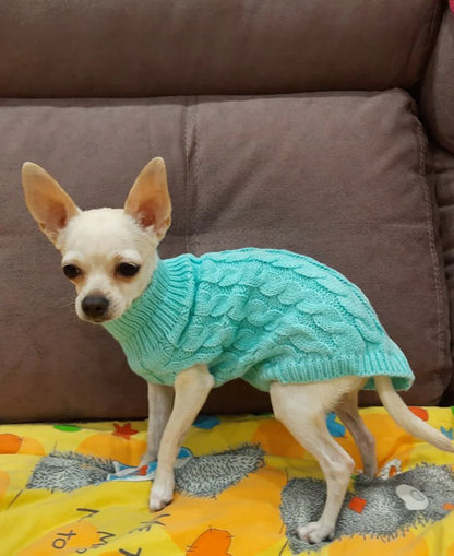 Knit Sweater for Small Pets