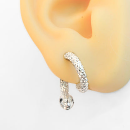 Curious Snake Illusion Earrings