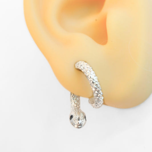 Curious Snake Illusion Earrings