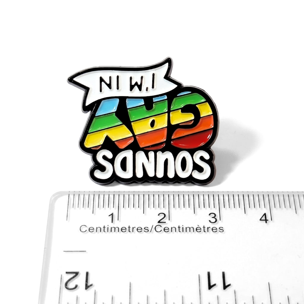 Sounds Gay I'm In [Pride] | Collectible Pin