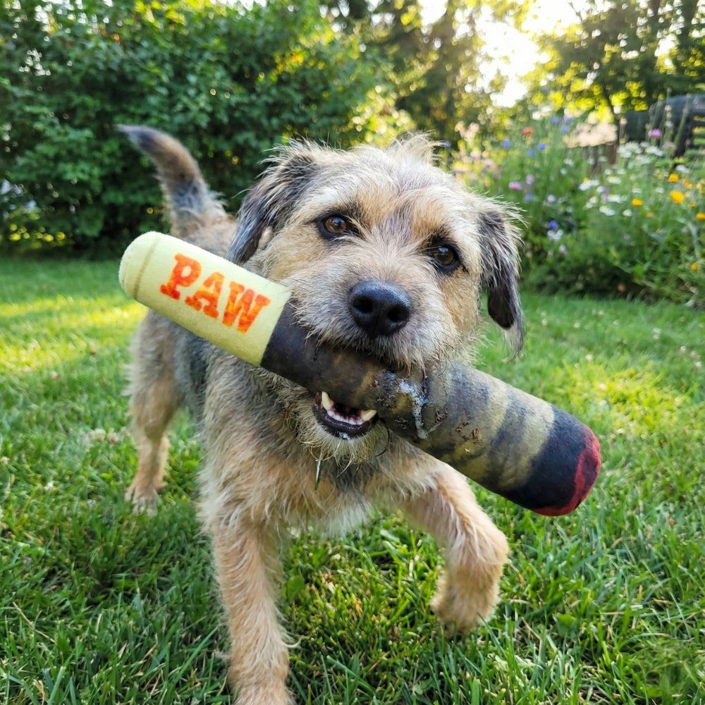 Squeaky Doobie Plush | Dog Toy