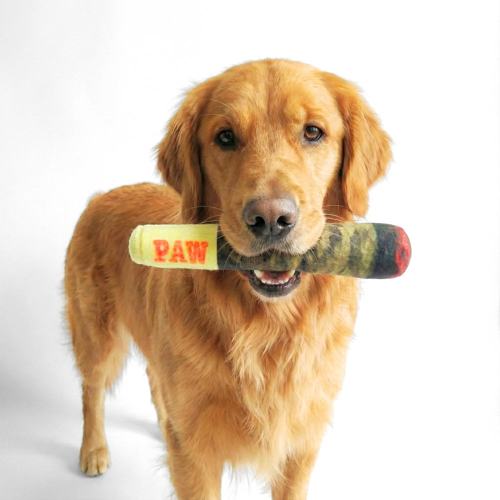Squeaky Doobie Plush | Dog Toy