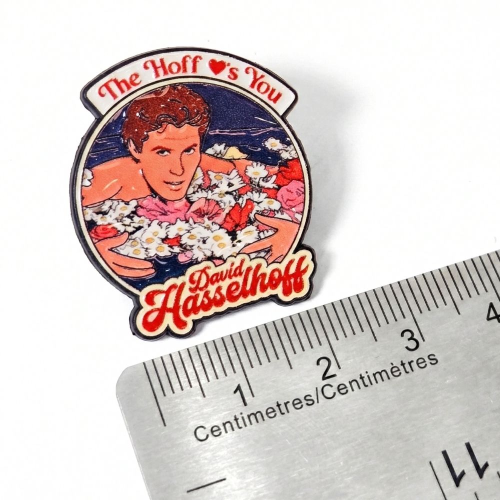 The Hoff vous aime | Pin de collection