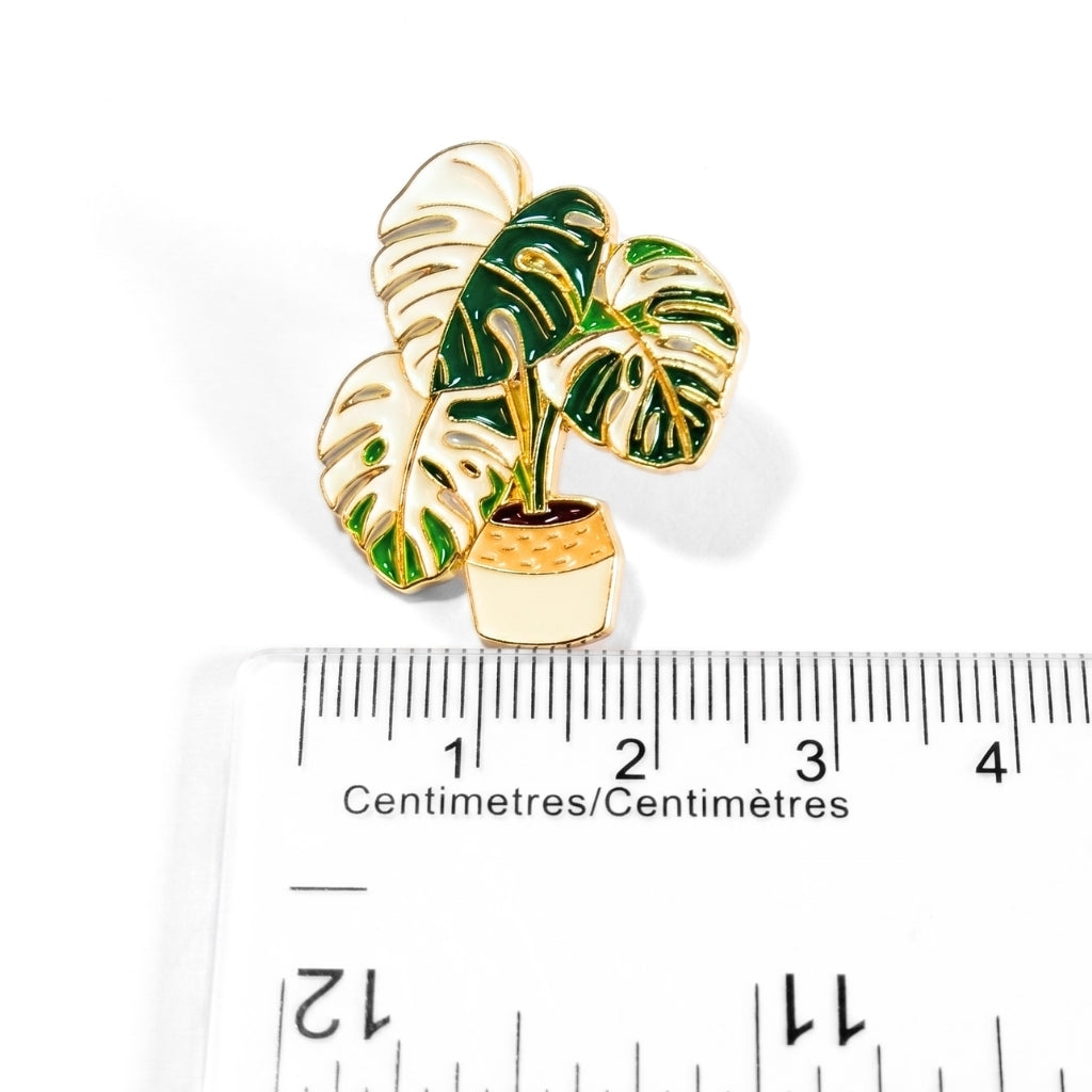 Plante Monstera Panachée | Pin's de Collection